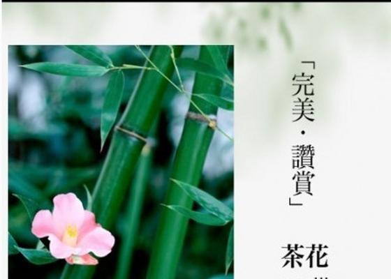 碧玉兰的文化背景有哪些？