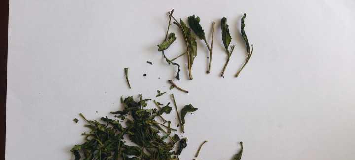 茶叶梗真的能去除甲醛吗？使用茶梗除甲醛效果如何？