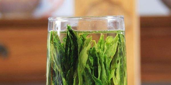 茶叶和什么不能一起吃？了解茶叶搭配禁忌指南