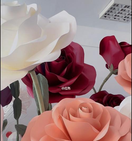 不同颜色的玫瑰花代表什么意思？如何选择正确的颜色表达情感？