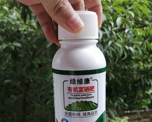 茶叶能作为肥料使用吗？使用茶叶做肥料的正确方法是什么？