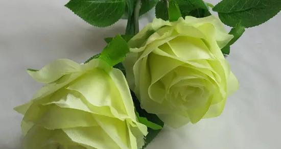不同颜色玫瑰花语是什么？如何根据颜色选择玫瑰表达情感？