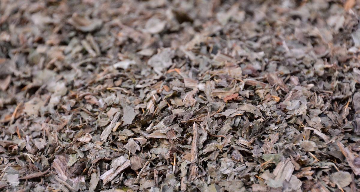 茶叶能作为肥料使用吗？使用茶叶做肥料的正确方法是什么？