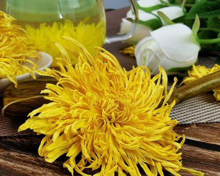 茶叶水浇菊花好吗？对菊花生长的影响是什么？