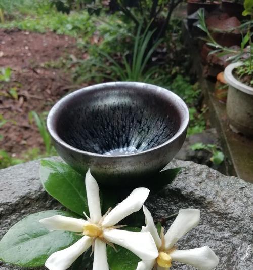 茶叶水浇栀子花好吗？对栀子花生长的影响是什么？