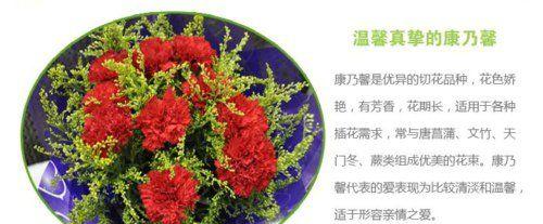 大红色康乃馨代表什么？花语含义有哪些？