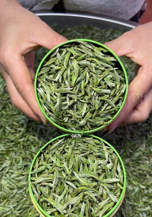 茶叶用什么肥料最好？如何根据茶叶种类选择合适的肥料？