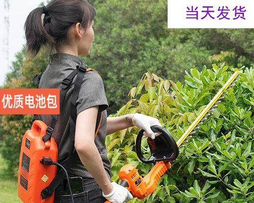 茶叶修剪方法有哪些？正确的修剪步骤是什么？