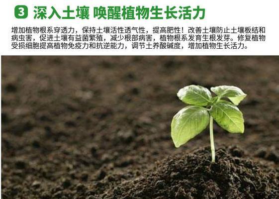 茶叶渣能用作花肥吗？如何正确使用？