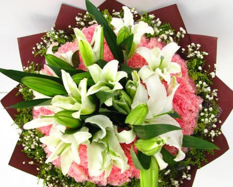 哪些花象征友情代表友谊？常见友谊花卉有哪些？