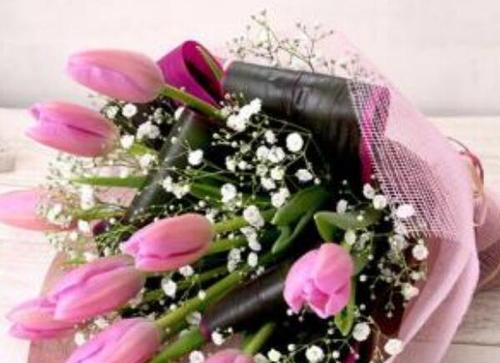 代表友谊的花送什么？哪种花最能表达友情？