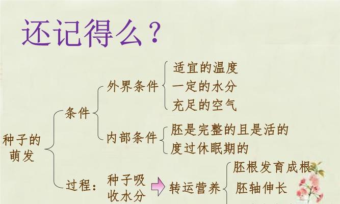 常春藤干枝是什么原因造成的？如何有效处理？