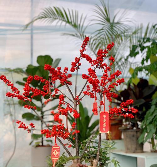 冬青树的花语是什么？冬青花语背后的故事有哪些？