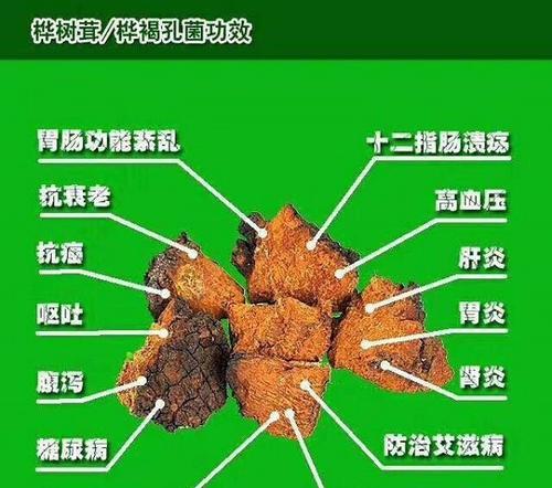常春藤炭疽病是怎么引起的？有哪些有效的治疗方法？