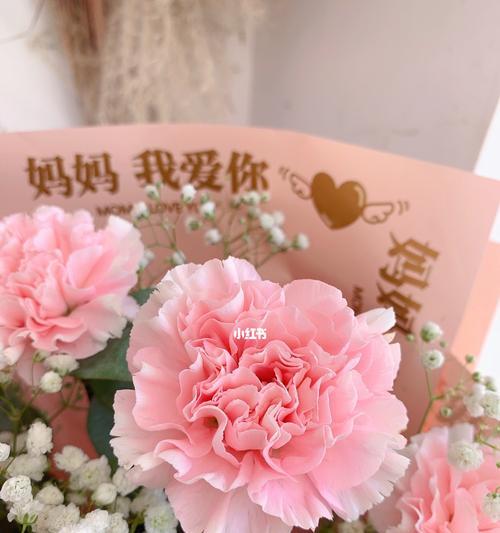 粉红色康乃馨的含义是什么？送人有什么特别意义吗？