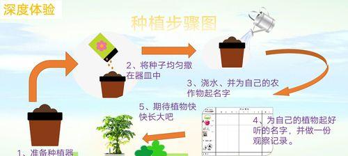 常春藤种子发芽需要多长时间？有哪些因素影响发芽速度？