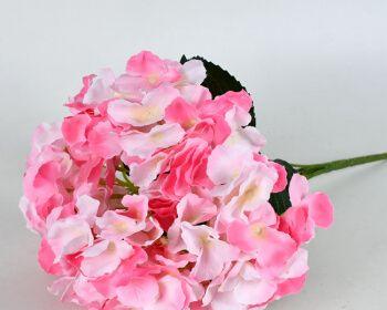 粉红色绣球花语是什么？如何表达浪漫与美满？