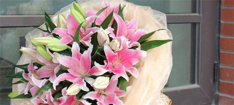 粉色百合花语是什么？如何用粉色百合表达爱意？