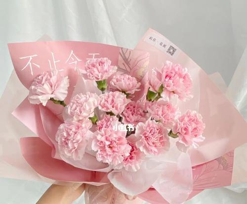 粉色康乃馨的含义是什么？送粉色康乃馨有哪些讲究？
