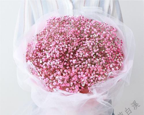 粉色满天星的花语是什么？粉色满天星代表什么含义？