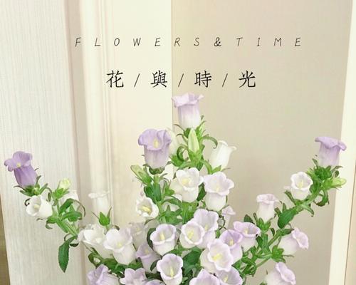 风铃草代表什么意思？风铃草的花语有哪些含义？