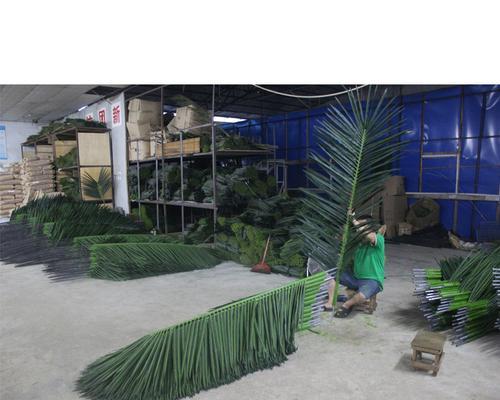 车间适合放什么植物？如何选择合适的办公室绿植？