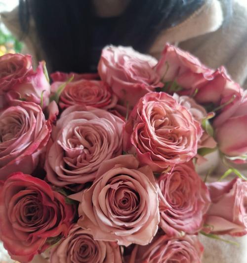 各种玫瑰花颜色代表什么？不同颜色玫瑰花的含义是什么？