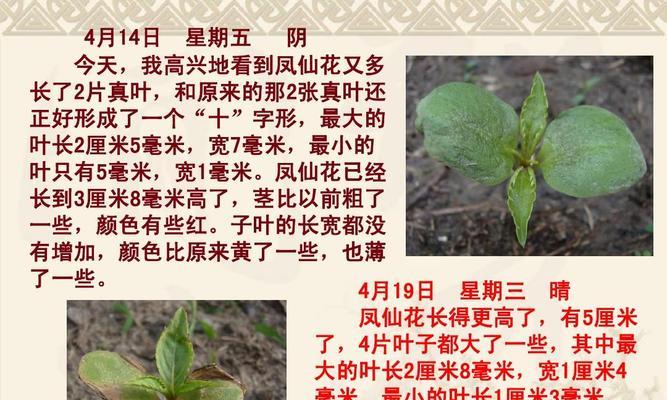 车厘子种子发芽快吗？有哪些有效的催芽方法？