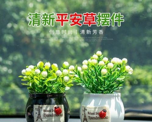 车内适合放什么植物？哪些植物净化空气效果最佳？