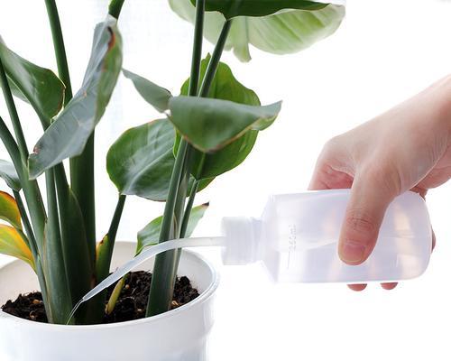 车用尿素可以浇花吗？使用后对植物有什么影响？