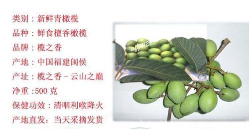 沉香果的功效与作用是什么？如何正确食用沉香果？