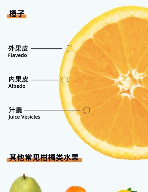 橙子的生长周期是多长时间？如何科学管理提高产量？