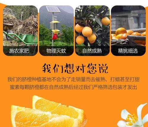 橙子套袋的最佳时机是什么时候？如何正确进行套袋操作？