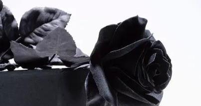 黑色玫瑰代表什么含义？花语有哪些常见误解？