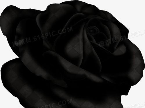黑色桔梗花的花语有哪些含义？