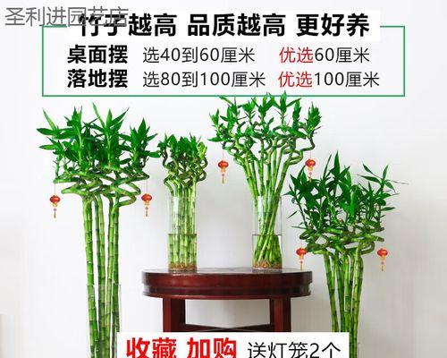 吃根的植物有哪些？它们的食用价值和种植方法是什么？