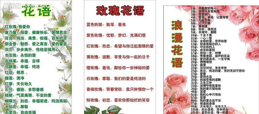 红玫瑰代表什么？红玫瑰的花语有哪些含义？