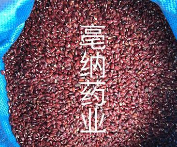 赤小豆亩产量多少斤？如何提高赤小豆的产量？