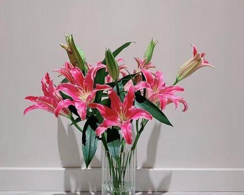 五朵玫瑰花十朵百合下一句