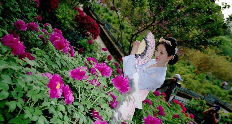 跟牡丹花拍人像怎么拍的好啊