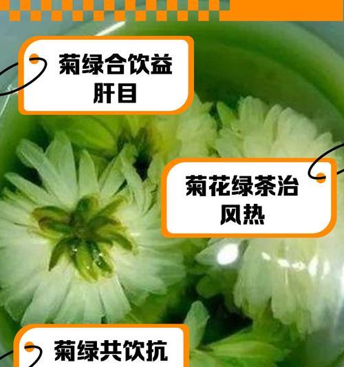 菊花泡着就变绿了还能喝吗为什么