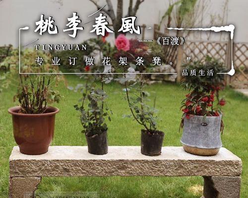 100平米院子盆景图片大全大图简单