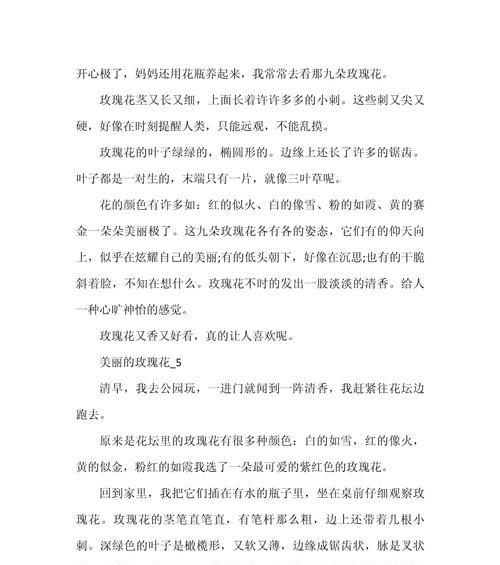 一朵粉玫瑰花的片段描写作文