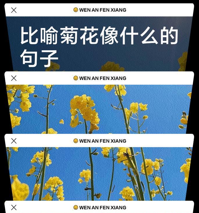 如何编写50字左右的菊花介绍句子？有哪些要点？