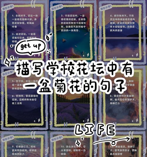 如何编写50字左右的菊花介绍句子？有哪些要点？
