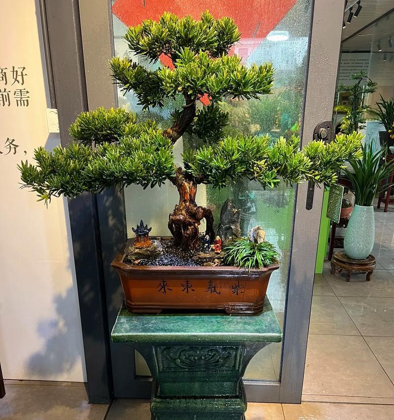659朵玫瑰花的含义是什么？网络用语怎么读？