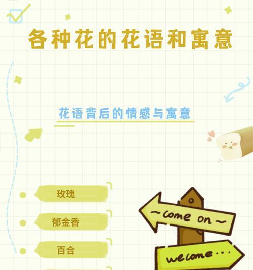 18支玫瑰的含义是什么？网络用语中如何表达？