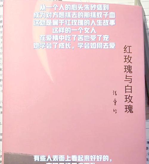 十一朵白玫瑰与一朵红玫瑰的花语是什么？