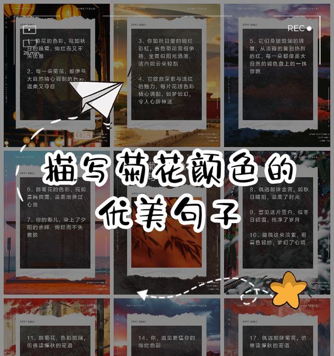 简短介绍菊花有哪些经典句子？