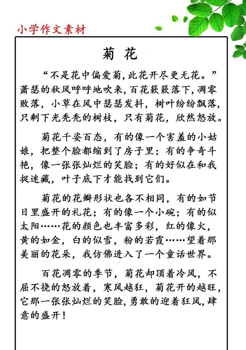 简短介绍菊花有哪些经典句子？